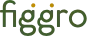 figgro logo